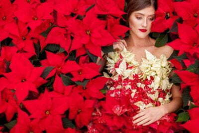 PAIRFUM Poinsettia Day Home Fragrance Flower Dress Surround