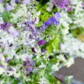 Pairfum Reed Diffuser British Flower Week Floral Bouquet Pairfum Reed Diffuser British Flower Week Floral Bouquet