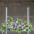 Pairfum Reed Diffuser British Flower Week Foliage Arrangement Pairfum Reed Diffuser British Flower Week Foliage Arrangement
