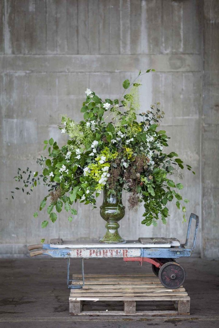 British Flower Week – Day Four – Foliage