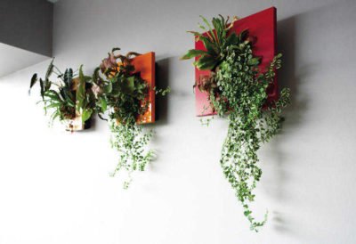 fresh ideas for decorating with plants frame