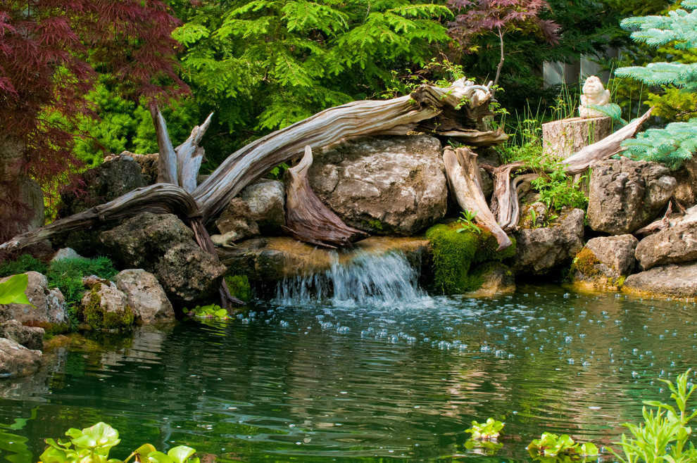 Relaxing Garden Ponds