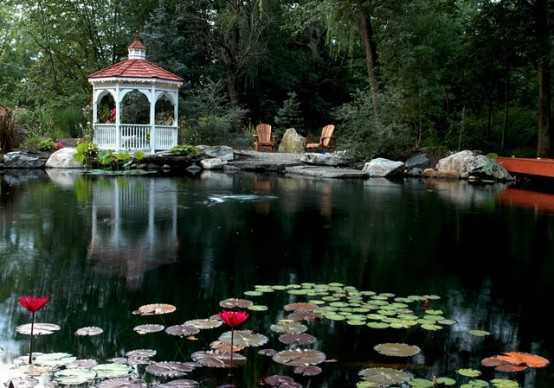 Relaxing Garden Ponds