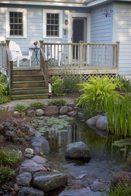 Relaxing Garden Ponds