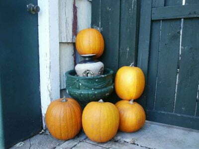 Collecting Pumpkins 