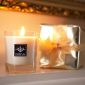 Pairfum Lifestyle Flower & Soy Wax Candle