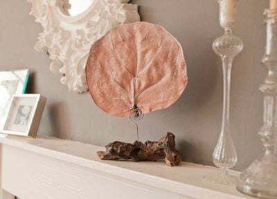 pairfum lifestyle living room canopy