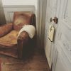 pairfum sachet livingroom leather chair door