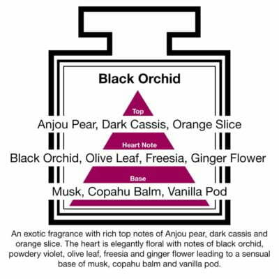 Fragrance Description Black Orchid Pear Freesia Vanilla Musk Fragrance Description Black Orchid Pear Freesia Vanilla Musk