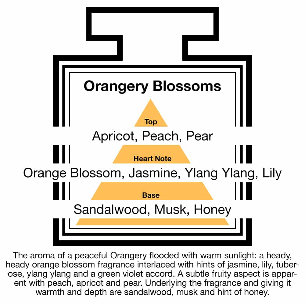 Fragrance Description Orangery Blossoms Apricot Ylang Honey Sandalwood