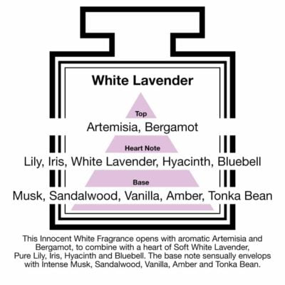 Fragrance Description White Lavender Artemisia Lily Musk Vanilla