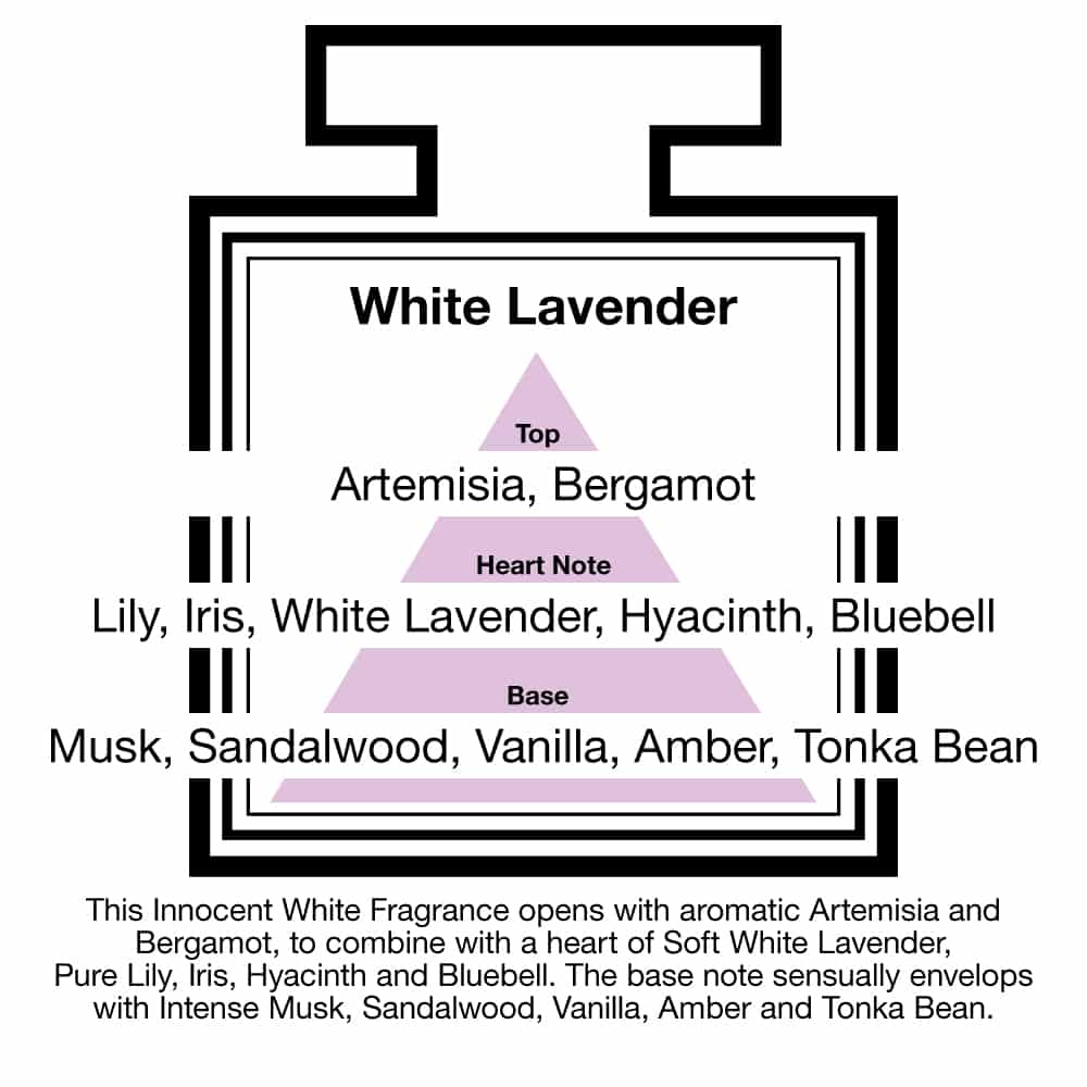 Fragrance Description White Lavender Artemisia Lily Musk Vanilla