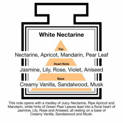 Fragrance Description White Nectarine Apricot Mandarin Pear Aniseed
