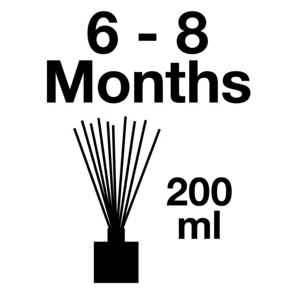Pairfum Infographic Large Reed Diffuser Volume 200 Ml Longlasting