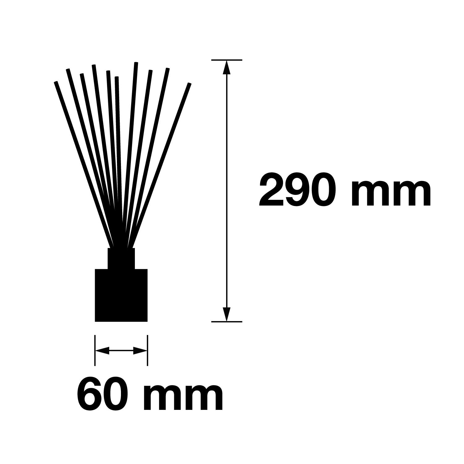 Pairfum Infographic Reed Diffuser Cube 100 Ml Size