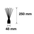 Pairfum Infographic Reed Diffuser Cube 50 ml Size