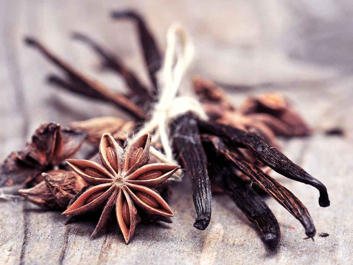Vanilla Anise Spice Oriental Perfume