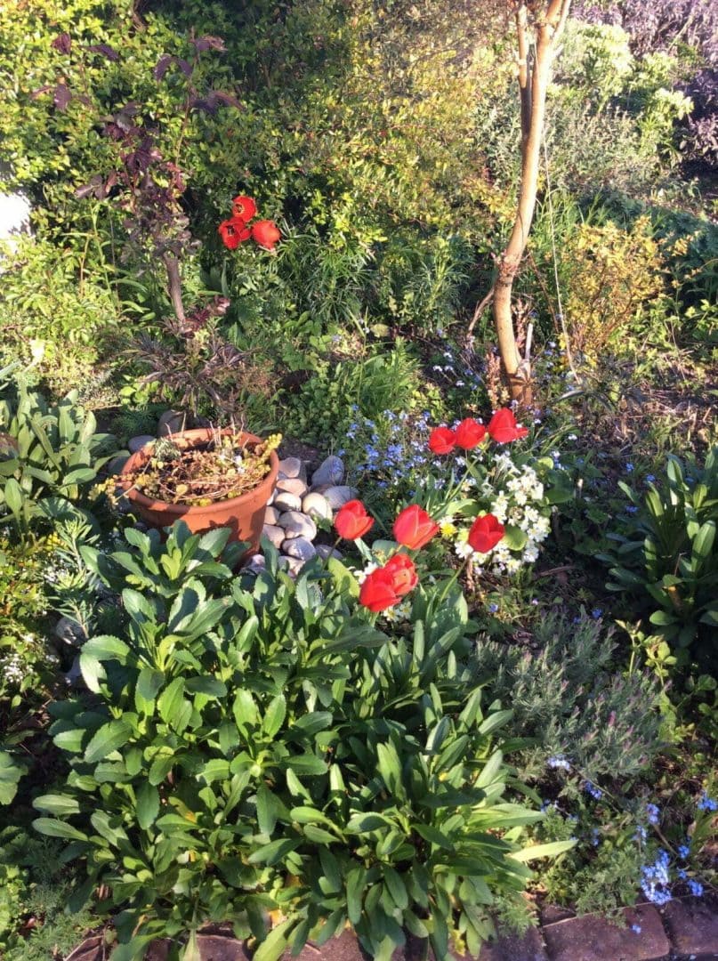 When Sunshine puts a Spring in our Step.