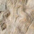 Wood Texture Background Old Panels