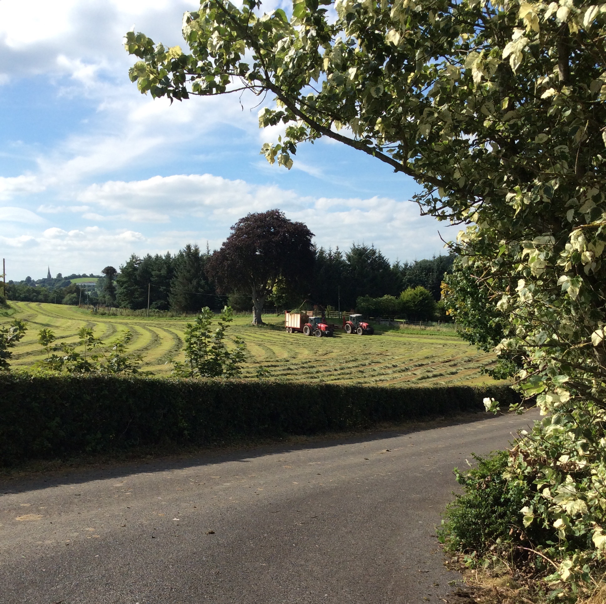 Mowing the Grass Ballybay Co Monagahn