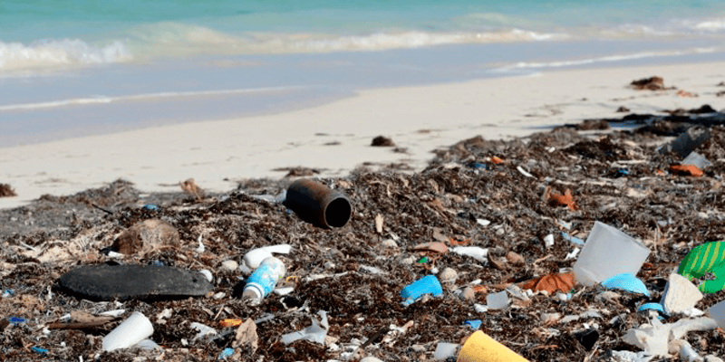 Plastic Rubbish On The Beack Plastic & Rubbish On The Beack 2