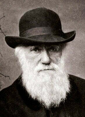 Charles Darwin In 1881