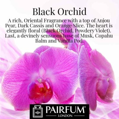 Black Orchid Pairfum London Anjou Pear