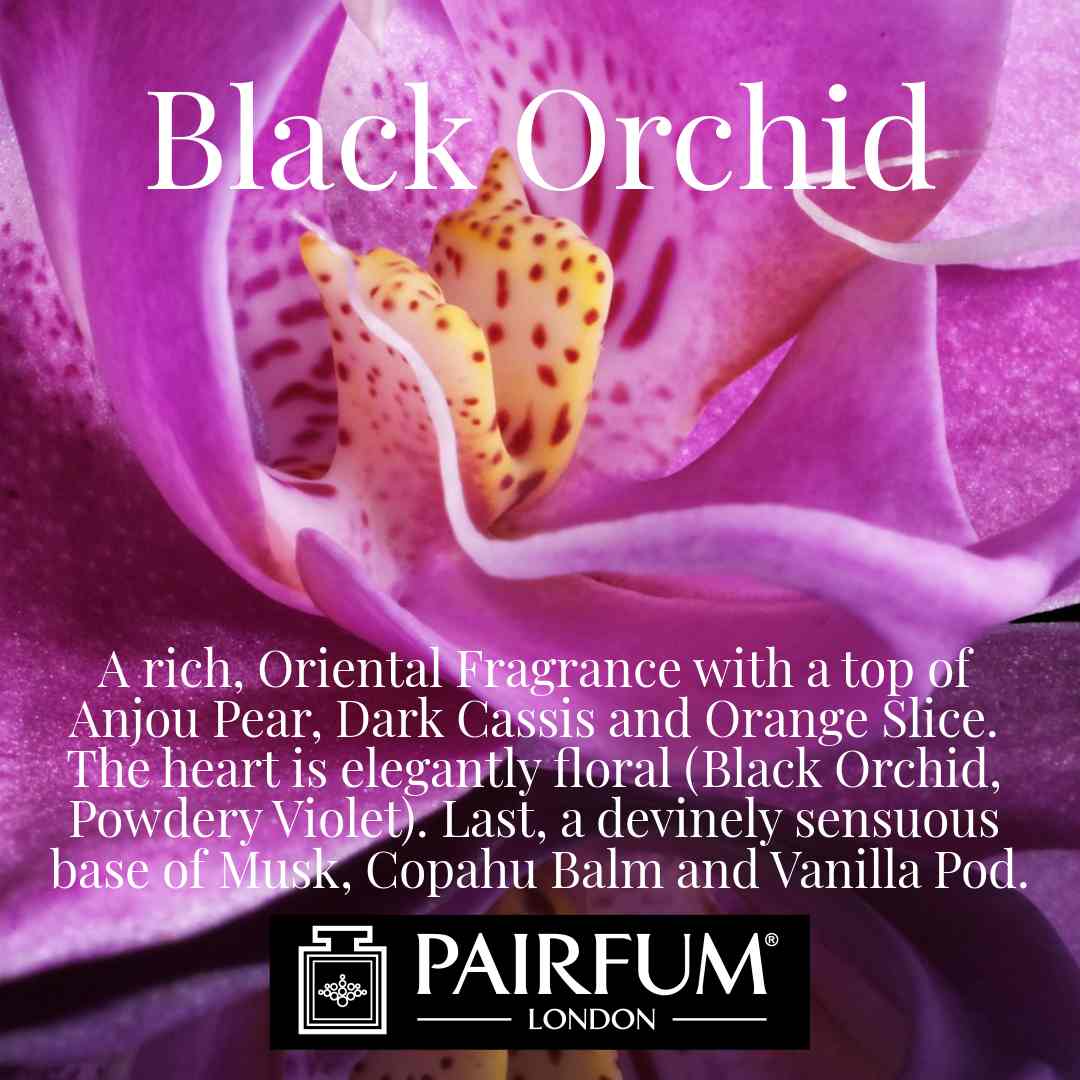 Black Orchid Pairfum London Cassis Violet Musk