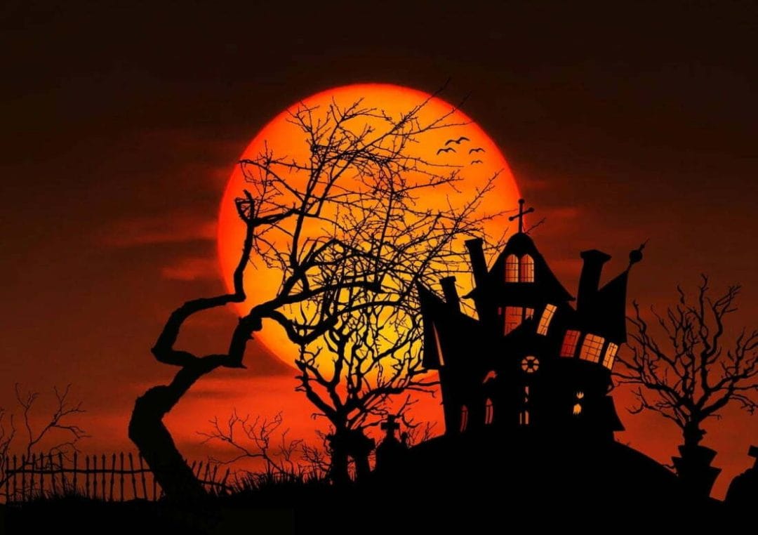 HALLOWEEN ARE YOU READY