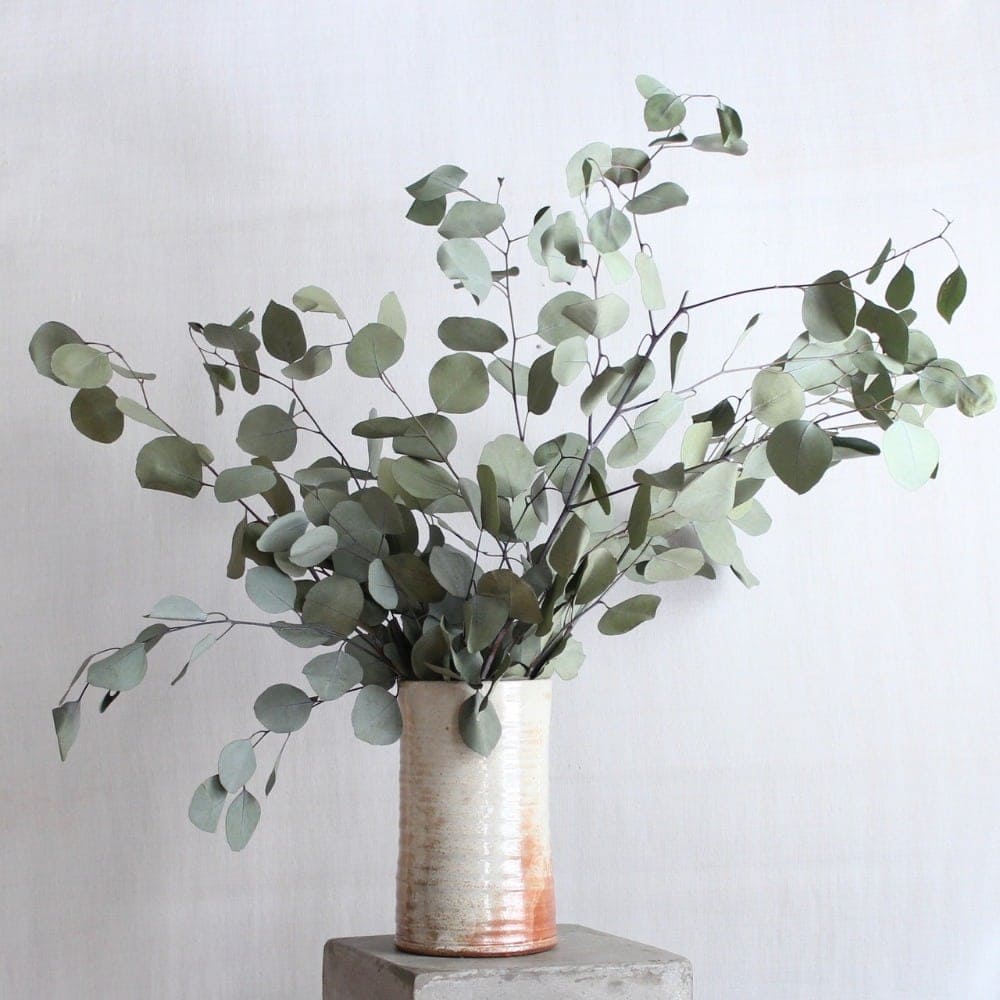 How To Make A Reed Diffuser Dried Eucalyptus Ceramic How To Make A Reed Diffuser Dried Eucalyptus Ceramic