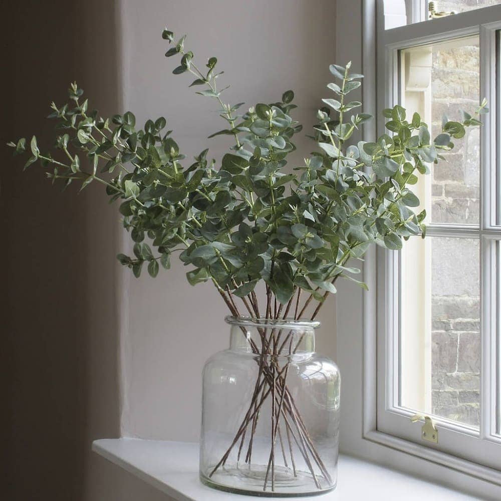 How To Make A Reed Diffuser Dried Eucalyptus Window How To Make A Reed Diffuser Dried Eucalyptus Window