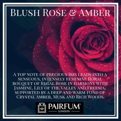 Blush Rose Amber Pairfum London Amber