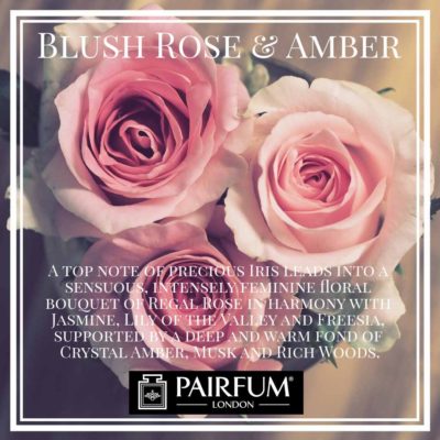 Blush Rose Amber Pairfum London Musk Freesia