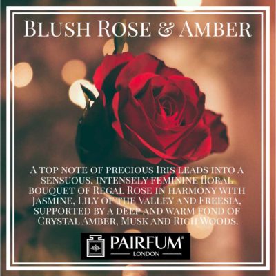Blush Rose Amber Pairfum London Rich Woods