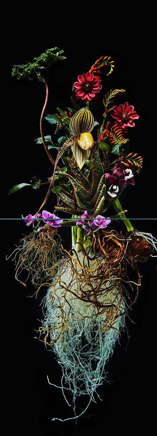 Pairfum London Azuma Makoto Undersurface Flower Root Fragrance 11