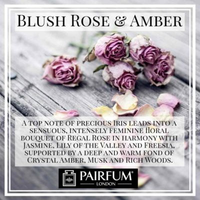 Pairfum London Blush Rose Amber Freesia Woody