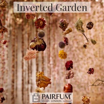 Pairfum London Community Ethernal Inverted Garden Rebecca Law 9