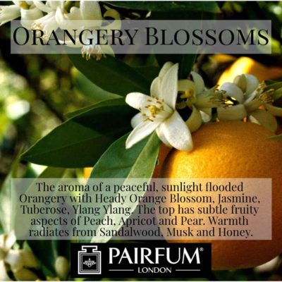 Pairfum London Orangery Blossoms Heady Orange