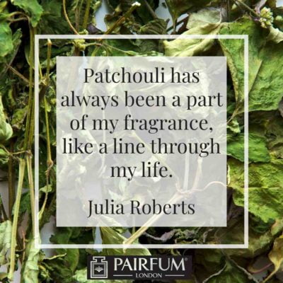 Perfume Paltchouli Thread Life Julia Roberts Green 04