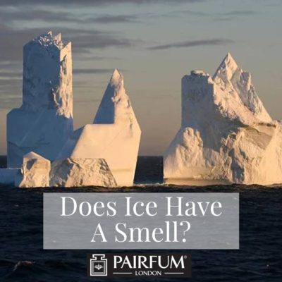 does ice have a smell fragrance perfume