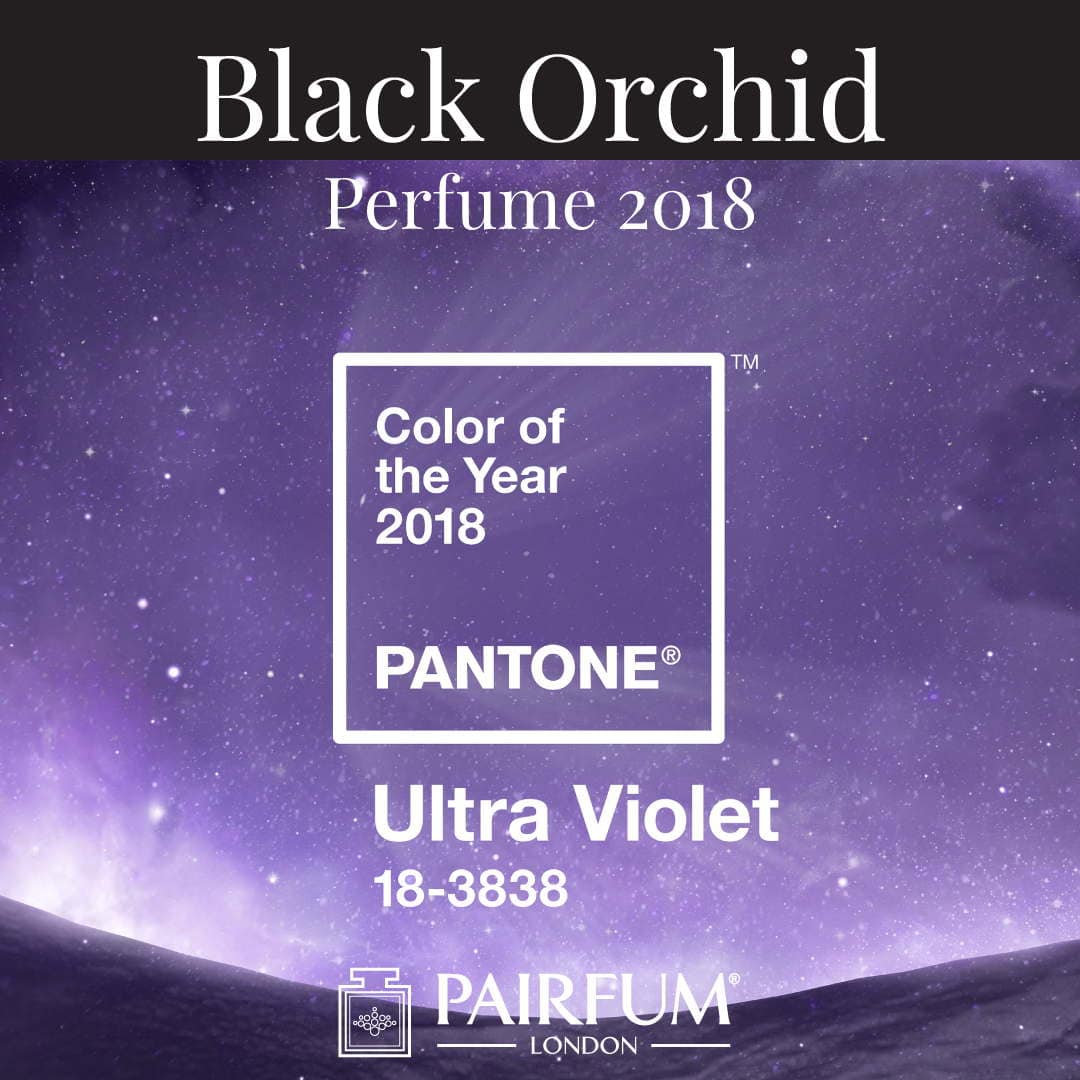Pantone Color Year 2019 Ultra Violet Black Orchid Perfume Pairfum Pantone Color Year 2019 Ultra Violet Black Orchid Perfume Pairfum