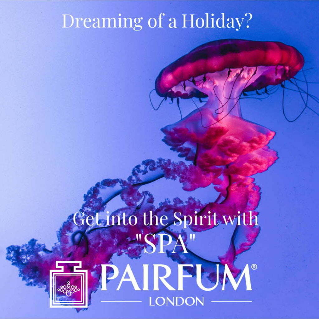 Dream Holiday Spirit Spa Dive Blue