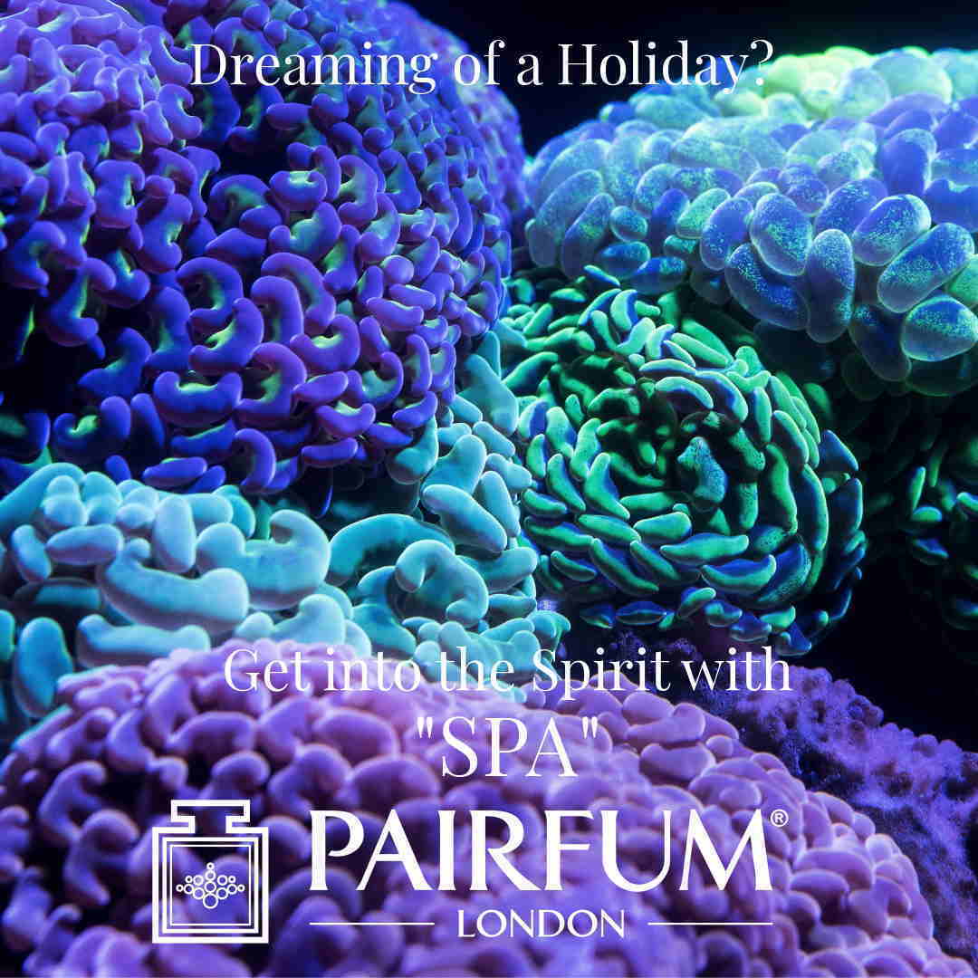 Dream Holiday Spirit Spa Dive Coral