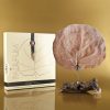 Pairfum Canopy Infusion Diffuser Extended Gold Fragrance