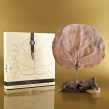 Pairfum Canopy Infusion Diffuser Extended Gold Fragrance