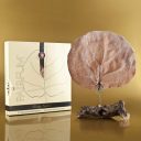 Pairfum Canopy Infusion Diffuser Extended Gold Fragrance