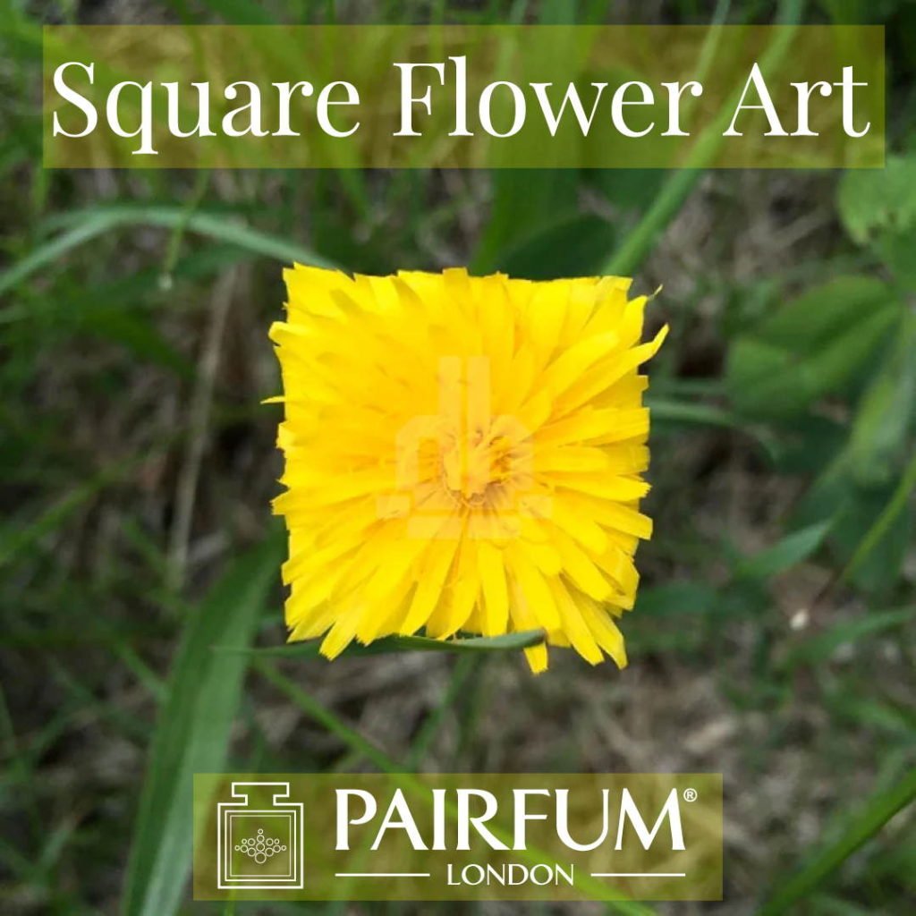 Square Flower Art Yellow Organic Form