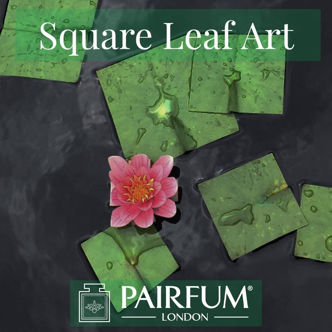 Square Leaf Art Green Water Lily Natural Form