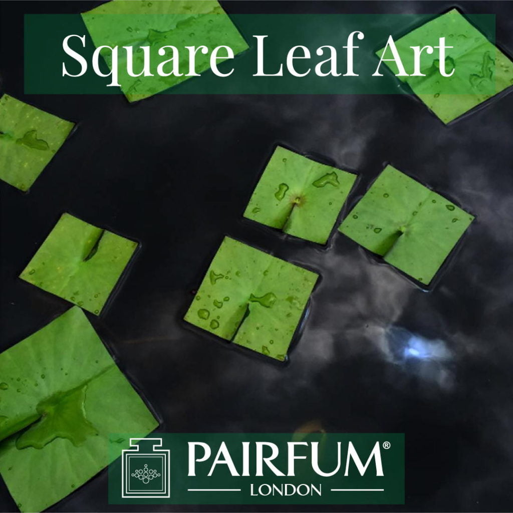 Square Leaf Art Green Water Lily Organic Form