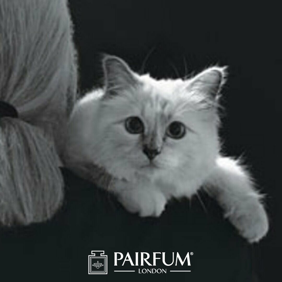 Pairfum Karl Lagerfeld Fashion Fragrance Cat Choupette